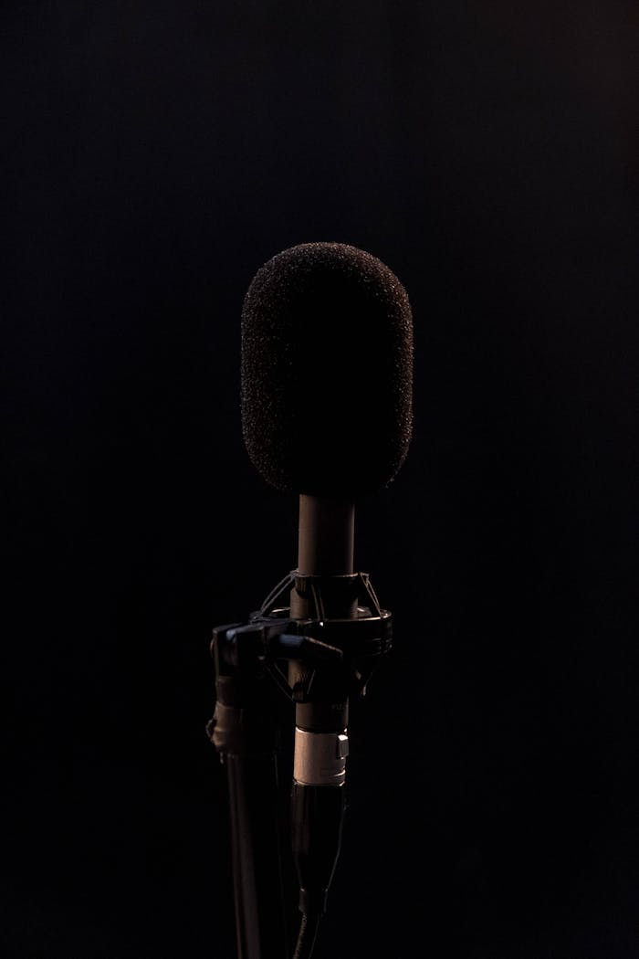 Close-up of a black microphone in a studio setting, isolated on a dark background.